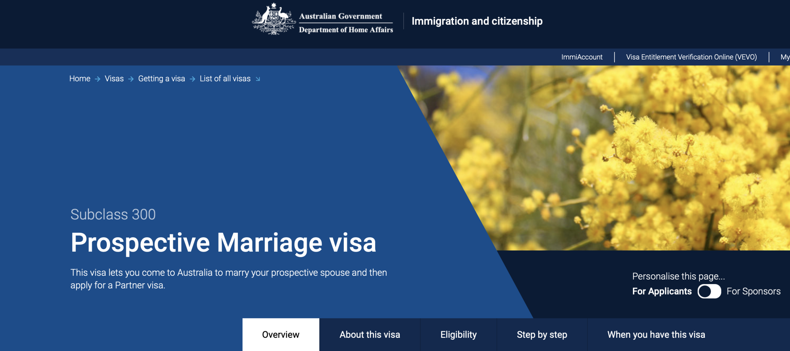 Prospective Marriage Visas